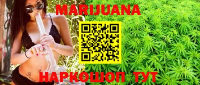 Альфа ПВП Малгобек
