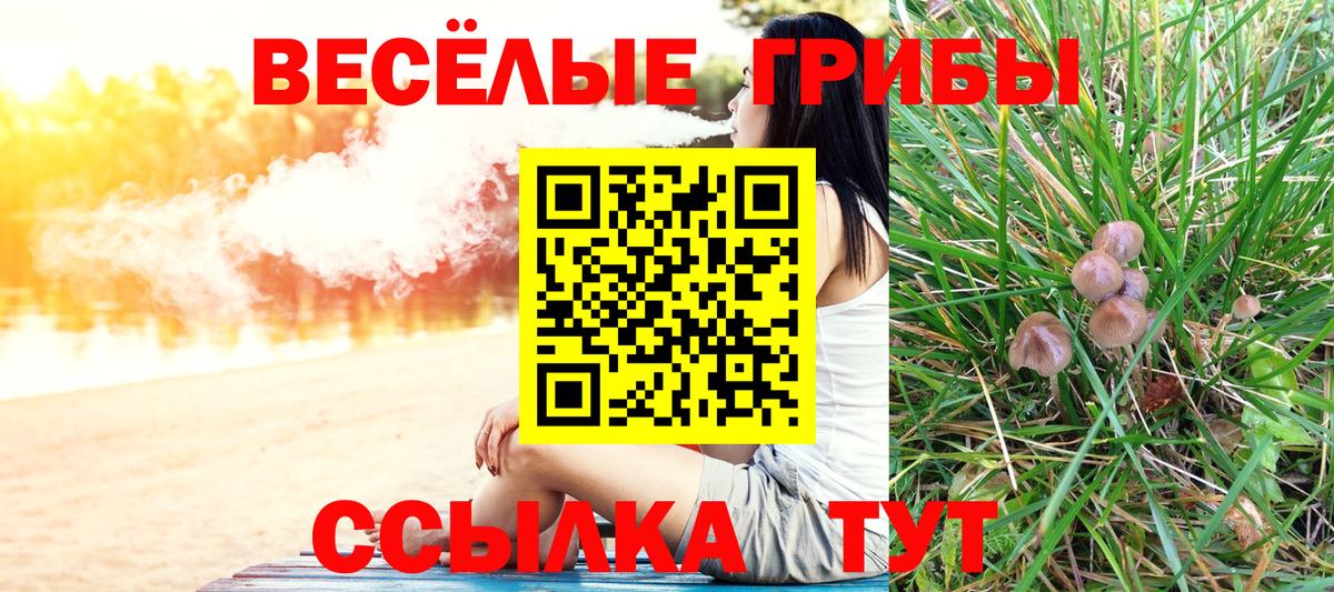 Сургут  Псилоцибиновые грибы MAGIC MUSHROOMS  где купить наркоту  Вход с VPN 