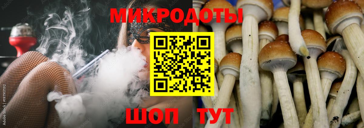 Галлюциногенные грибы прущие грибы Сургут